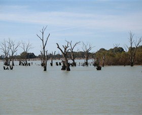 Lake Victoria - Accommodation NSW 3