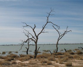 Lake Victoria - Accommodation NSW 6
