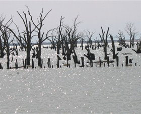 Lake Victoria - Accommodation NSW 5