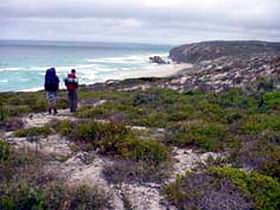 Seal Bay SA Accommodation NSW