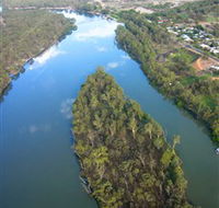 Sturt's Tree - Accommodation NSW