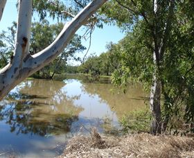 Red Bank Park - Accommodation NSW 0