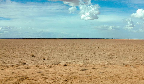 Toorale National Park - Accommodation NSW 1