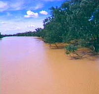 Warrego River - Accommodation NSW