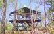 Mirrai Lookout Walk - thumb 2