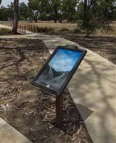 Wallam Creek, Bollon - Accommodation NSW 1