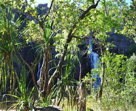 Manngarre Rainforest Walk - Accommodation NSW 1