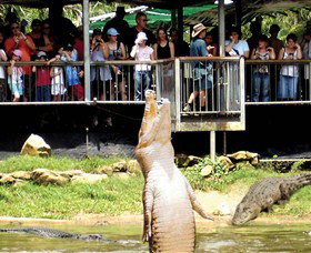 Knuckey Lagoon NT Accommodation NSW