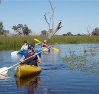 Marsh Meanders - Accommodation NSW