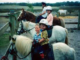 Limestone Coast Horseriding - Accommodation NSW 1