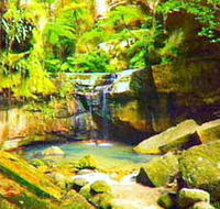 Carnarvon Gorge Carnarvon National Park - Accommodation NSW