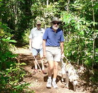 Wongabel State Forest - Accommodation NSW