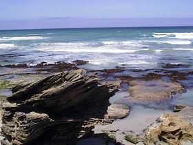 Canunda National Park - Accommodation NSW 1