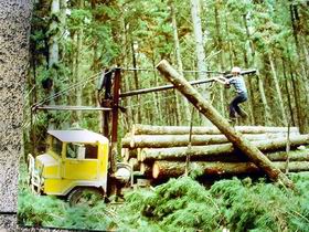 Nangwarry Forestry And Logging Museum - Accommodation NSW 3