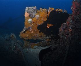 Lady Bowen Dive Site - Accommodation NSW 0
