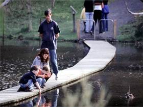 Valley Lake Conservation Park - Accommodation NSW 2