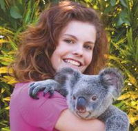 Kuranda Koala Gardens - Accommodation NSW