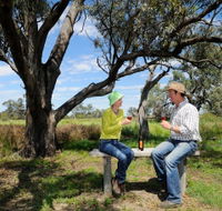 Restdown Wines and Walking Trail - Accommodation NSW