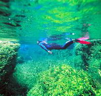 Piccaninnie Ponds Conservation Park - Accommodation NSW