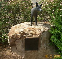 Dingo Statue - Accommodation NSW