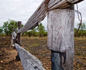 Oyala Thumotang National Park (CYPAL) - Accommodation NSW 1