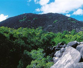 Black Mountain (Kalkajaka) National Park - Accommodation NSW 0