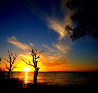 Lake Cowal - Accommodation NSW