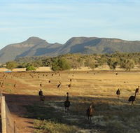 Emu Logic - Accommodation NSW