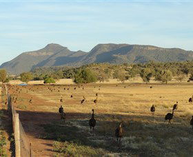 Emu Logic - Accommodation NSW 0