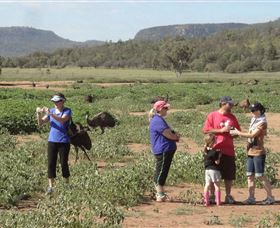 Emu Logic - Accommodation NSW 2