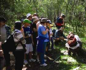 Warrumbungle National Park Discovery Program - Accommodation NSW 0