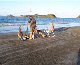 Cape Hillsborough National Park - Accommodation NSW 0