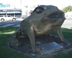 Big Cane Toad - Accommodation NSW 0