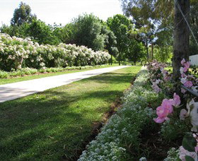 Barooga Botanical Gardens - Accommodation NSW 0