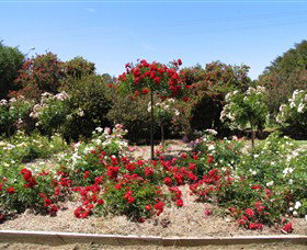 Barooga Botanical Gardens - Accommodation NSW 2