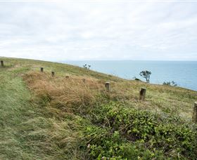 Cape Palmerston National Park - Accommodation NSW 3