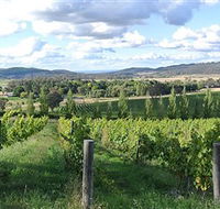 Sassy Wines - Accommodation NSW