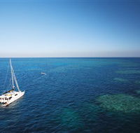 Bait Reef and Garys Lagoon Dive Site - Accommodation NSW