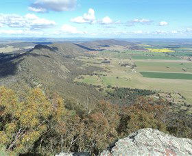 The Rock Nature Reserve - Accommodation NSW 3