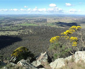 The Rock Nature Reserve - Accommodation NSW 4
