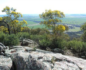 The Rock Nature Reserve - Accommodation NSW 6