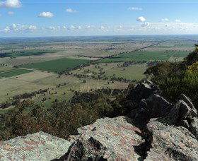 The Rock Nature Reserve - Accommodation NSW 5