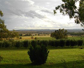 Wollundry Grove Olives - Accommodation NSW 1