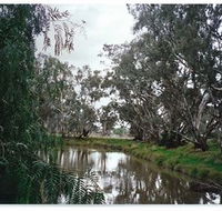 Henty Government Dam Nature Reserve