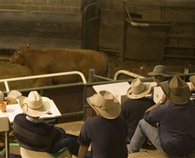 Livestock Marketing Centre - Accommodation NSW 2