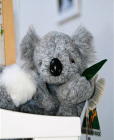 Timboon Toybox - Accommodation NSW 1