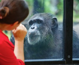 The Rockhampton Zoo - Accommodation NSW 0
