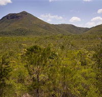 Kutini-Payamu Iron Range National Park CYPAL - Accommodation NSW