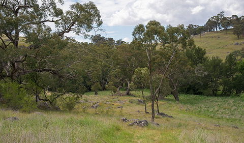 Verandah Cave - Accommodation NSW 1