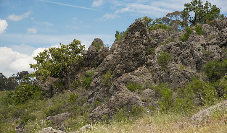 Lidster NSW Accommodation NSW